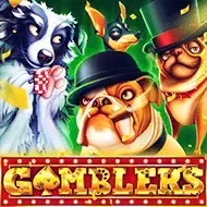 Gamblers5men