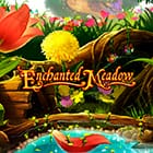 Enchated Meadow
